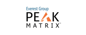 Major Contender - Data Annotations & Labeling PEAK Matrix